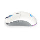 Gaming Mouse ENDORFY Gem Plus Wireless - Onyx White