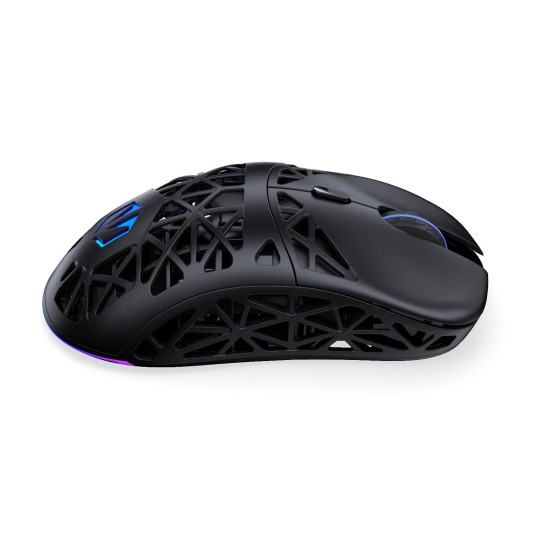 Gaming Mouse ENDORFY LIV Plus Wireless