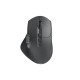 Hama “WM-900” Multi-Device Mouse, Ergonom., Radio/Bluetooth®, Battery, RGB, blk
