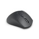 Hama “WM-900” Multi-Device Mouse, Ergonom., Radio/Bluetooth®, Battery, RGB, blk
