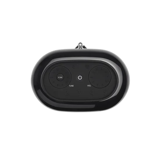 JBL Tuner XL wireless speaker, black