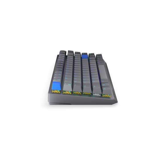 Endorfy mechanical keyboard Thock Wireless V2 75%, PBT, Endorfy Yellow switch, US Layout