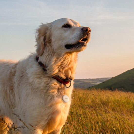 HAMA Тракер за Android „Find My Device“, с приложение, Bluetooth, бял