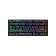 Gaming Wireless Mechanical Keyboard Dark Project ALU81A Terra Nova V2 Black RGB