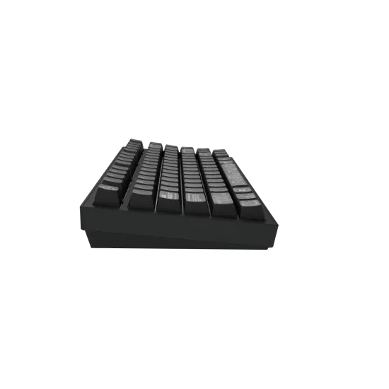 Gaming Wireless Mechanical Keyboard Dark Project ALU81A Terra Nova V2 Black RGB