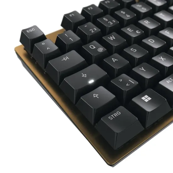 Keyboard CHERRY CHERRY KC 200MX Brown