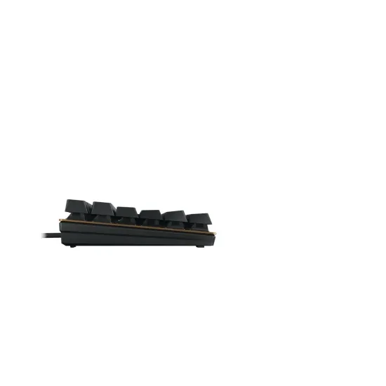 Keyboard CHERRY CHERRY KC 200MX Brown