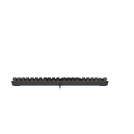 Keyboard CHERRY CHERRY KC 200MX Brown