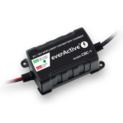 Зарядно процесорно устройство за акумулатор 6V/12V everActive CBC-1 v2  до 1А за автомобили и мотоциклети