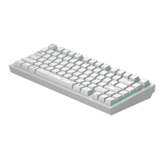 Gaming Wireless Mechanical Keyboard Dark Project ALU81A Terra Nova R2 White RGB