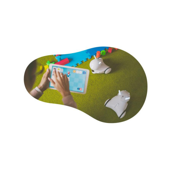 PHOTON robot EDU version