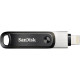 SanDisk 256GB iXpand Flash Drive Go for Your iPhone and iPad, Silver