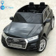 Акумулаторен Двуместна джип Audi Q5 4X4 24V батерия,MP4