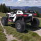 Battery-powered two-seater UTV off-road jeep, 4x4, 24V, 690W, with MP4 & MP3 player