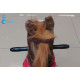 2-in-1 Kids' Rocking Horse with Wheels