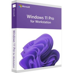 Windows 11 Pro for Workstation Windows 11 Pro for Workstation